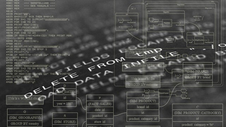 两化融会：欧美激情一区二区_欧美精品在线观看网站扶植的微弱能源